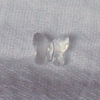 Image: Clear (Birthstone: Diamond, April) Butterfly